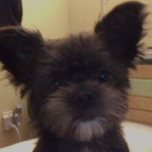 Meet your Posher, Joan